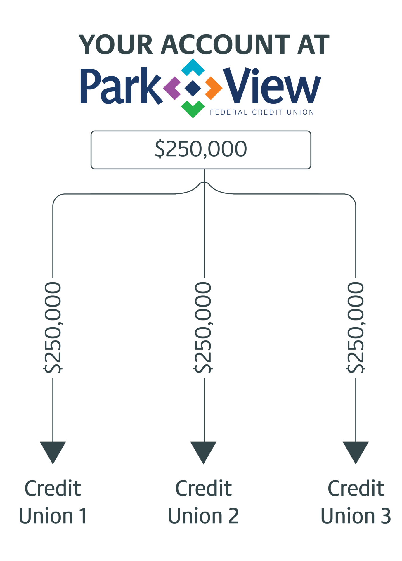 Extended Deposit Inusrance Infographic